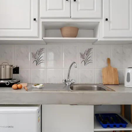 Ξενοδοχείο Diamantis Studios&apartments Μικρή Βίγλα