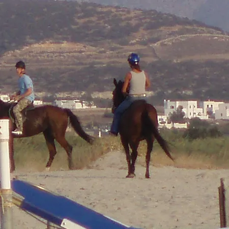 Diamantis Studios&apartments 2* Μικρή Βίγλα