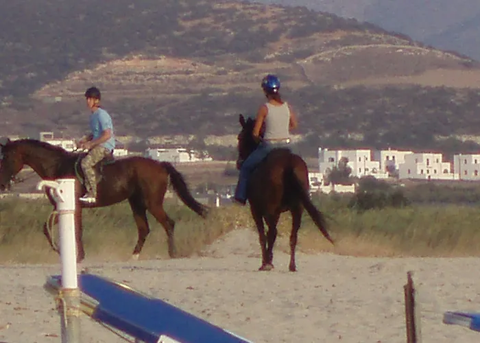 Diamantis Studios&apartments 2* 미크리 비글라