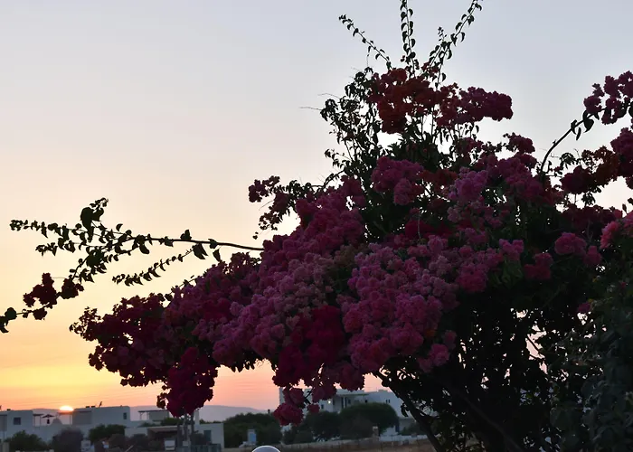 Diamantis Studios&apartments 2*